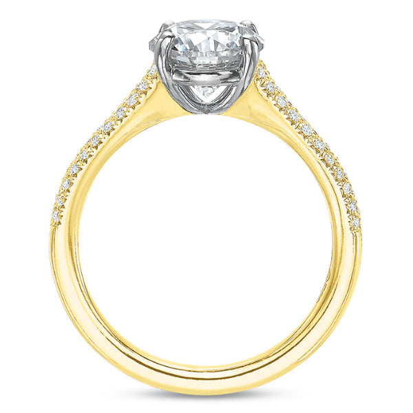 Modern Classic Engagement Ring Mounting