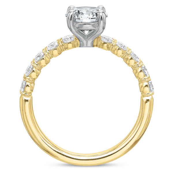 Classic Silk Prong Diamond Mounting