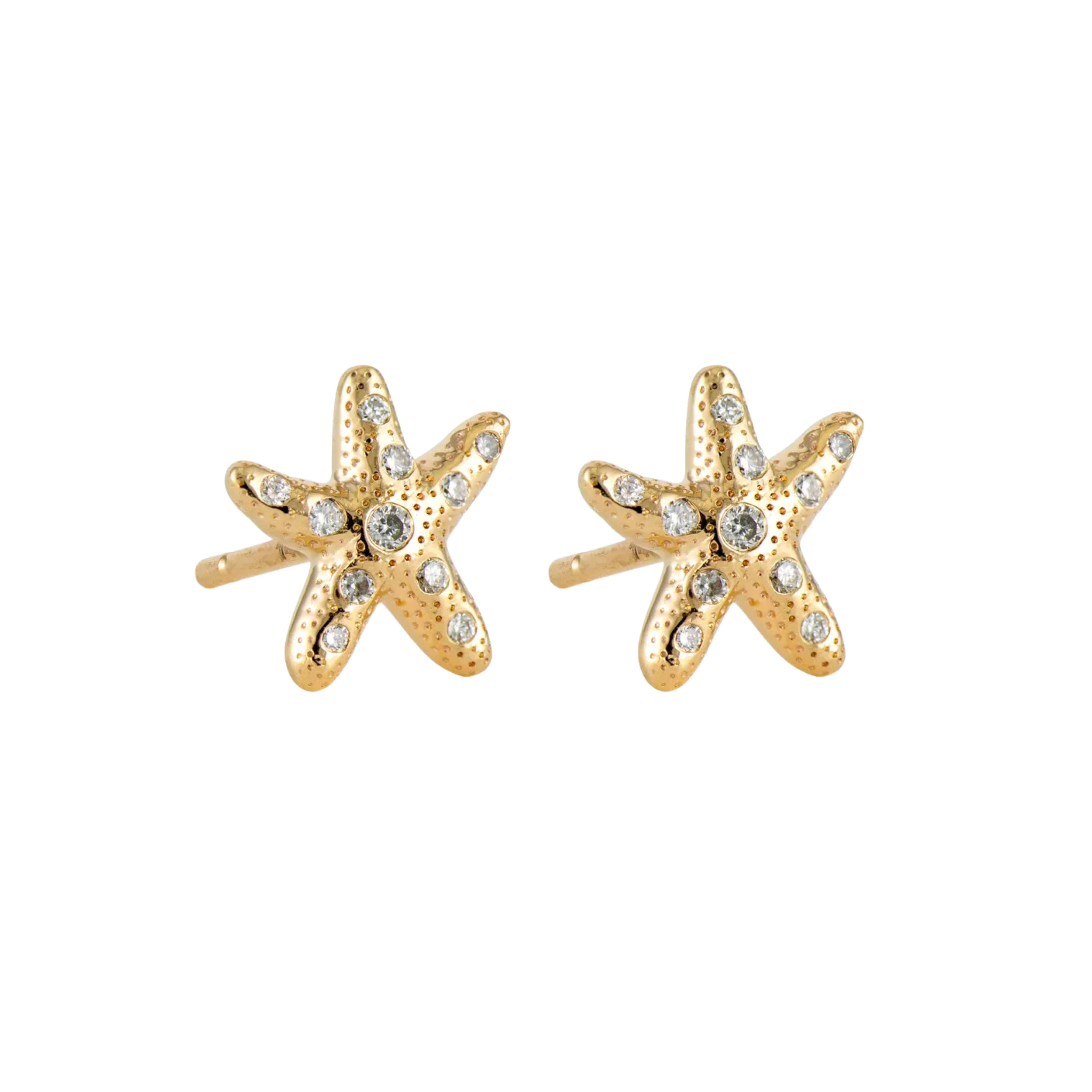 Starfish Studs