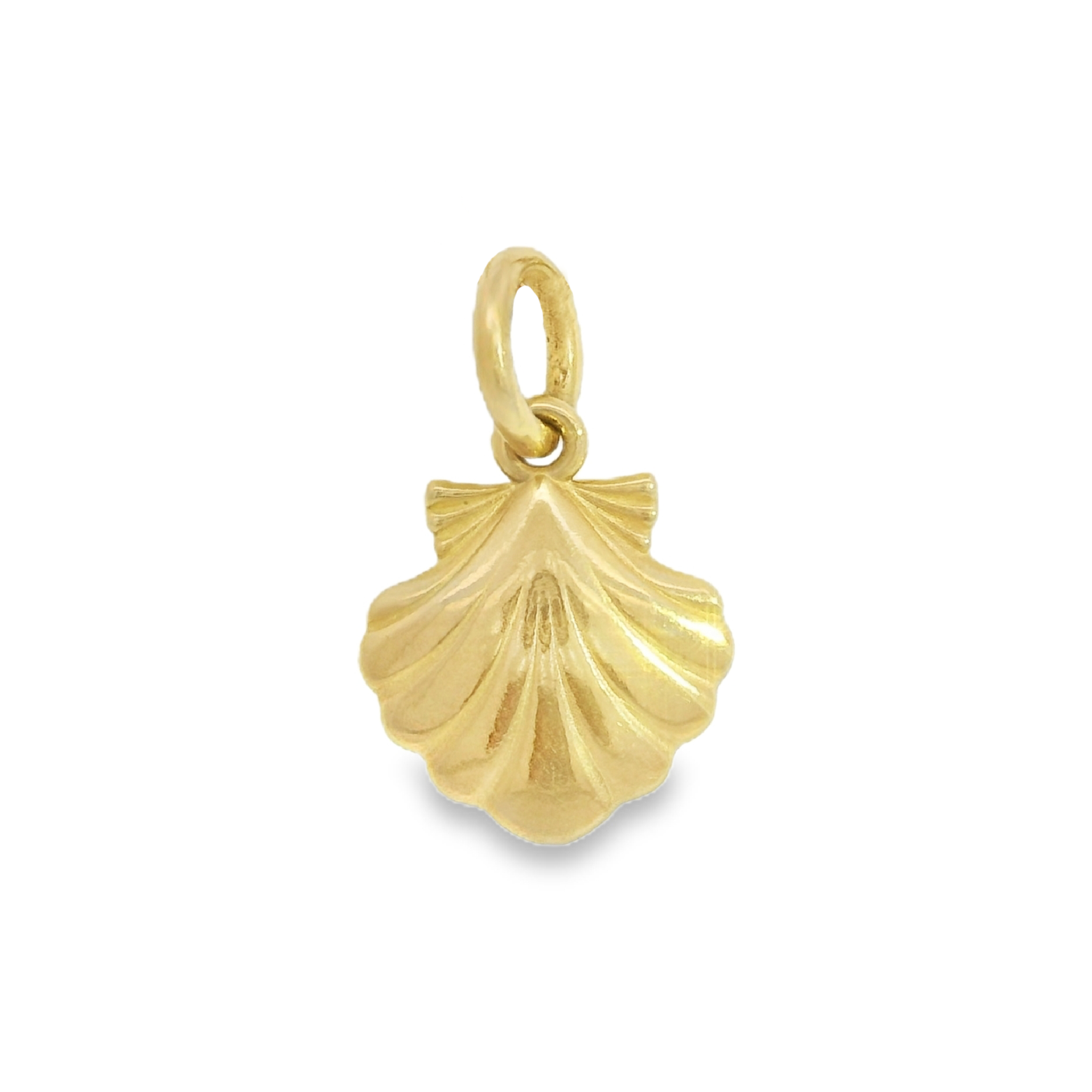Shell Pendant